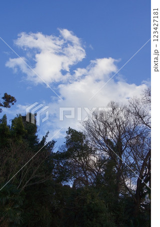 倉敷の風景 鶴形山 冬 倉敷の風景 鶴形山 冬 123427181
