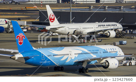 羽田空港に並ぶJALと中国南方航空：国際色豊かな風景 123427660