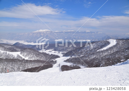 ネコママウンテン ネコママウンテン 123428058