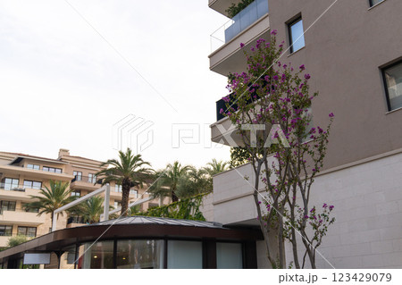 Plants on a city street. Green natural decoration Plants on a city street. Green natural decoration 123429079
