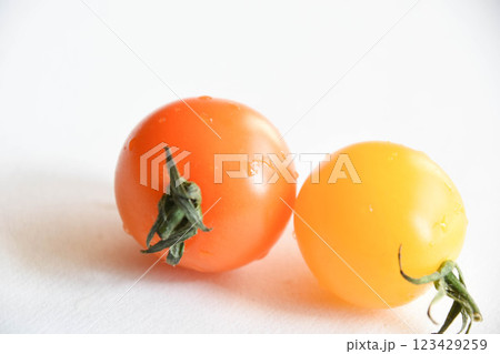 二色のプチトマト 二色のプチトマト 123429259