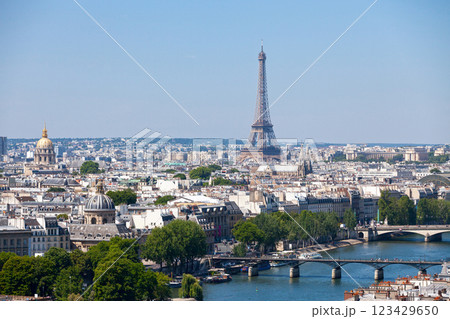 Aerial view of the Seine river in Paris 123429650