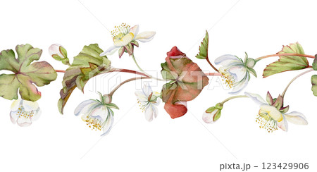Early spring flowers in dry leaves, white forest cloudberry anemone primrose ephemera, hand drawn in watercolor. Seamless banner garland isolated illustration, for wedding, florist shop, scrapbooking 123429906