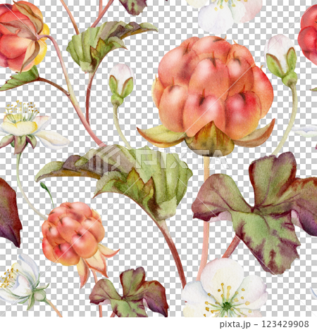 Cloudberry raspberry with white flowers, autumn leaves hand drawn in watercolor, red ripe forest berry on stems. Seamless pattern wallpaper illustration. Restaurant, farmers market, cafe menu, wedding 123429908