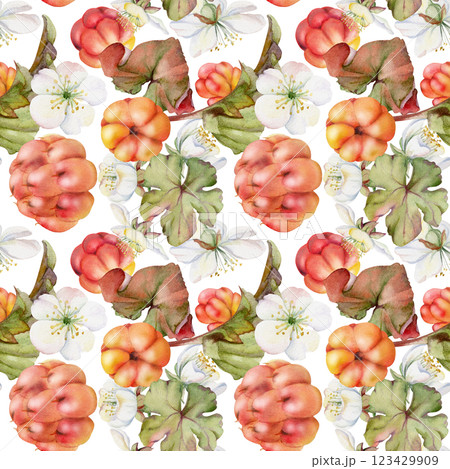 Cloudberry raspberry with white flowers, green leaves hand drawn in watercolor, red ripe forest berry on stems. Seamless pattern isolated illustration. Restaurant, cafe menu, wedding, farmers market 123429909
