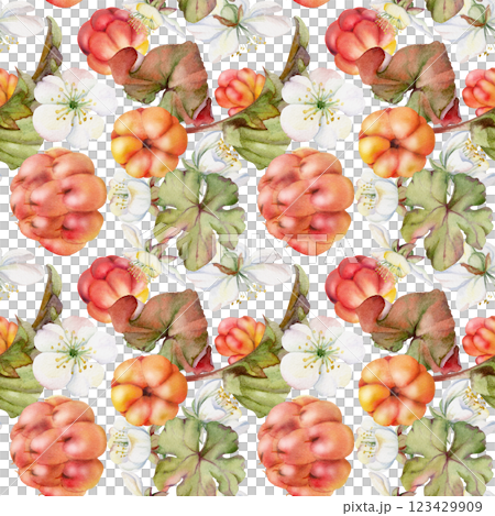 Cloudberry raspberry with white flowers, green leaves hand drawn in watercolor, red ripe forest berry on stems. Seamless pattern isolated illustration. Restaurant, cafe menu, wedding, farmers market 123429909