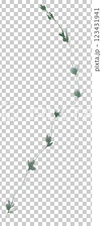 Watercolor twig with green leaves isolated illustration, botanical summer wedding element Watercolor twig with green leaves isolated illustration, botanical summer wedding element 123431941