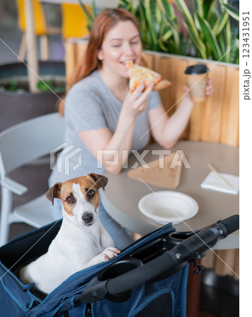 Caucasian woman having lunch in a cafe with her Jack Russell terrier dog in a stroller. Vertical photo.  123431951