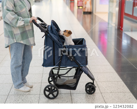 A Caucasian woman is shopping with her Jack Russell Terrier dog in a stroller in a shopping mall. 123432082