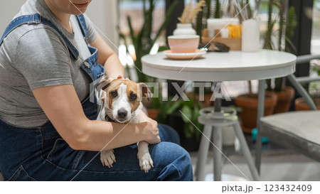 Jack Russell sits on the lap of the hostess in a cafe. Woman drinking coffee in a dog friendly cafe. Jack Russell sits on the lap of the hostess in a cafe. Woman drinking coffee in a dog friendly cafe. 123432409