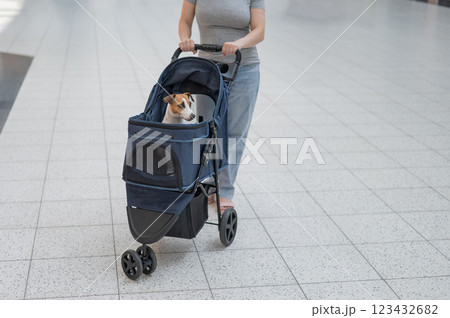 A Caucasian woman walks along the mall with her Jack Russell Terrier dog in a stroller.  123432682
