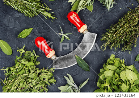 A vibrant assortment of fresh culinary herbs. A vibrant assortment of fresh culinary herbs. 123433164