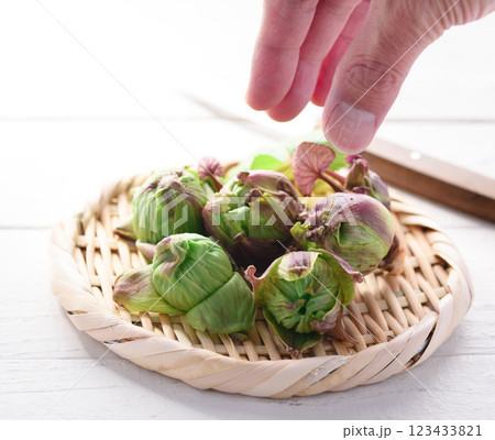 早春の食材 ふきのとう 123433821