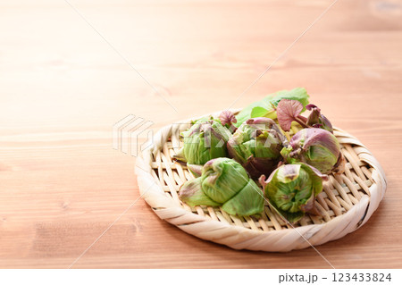 早春の食材 ふきのとう 早春の食材 ふきのとう 123433824