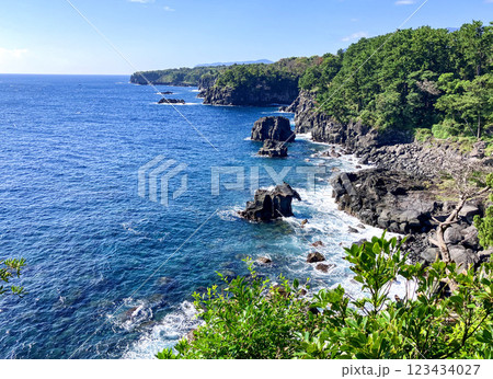 城ヶ崎海岸 城ヶ崎海岸 123434027