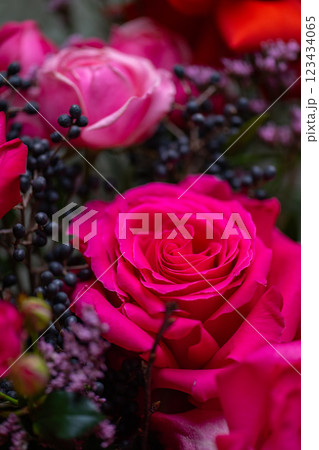 Beautiful Bouquet of magenta fuchsia color roses Beautiful Bouquet of magenta fuchsia color roses 123434065