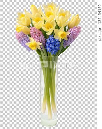 Spring Melody (Tulips Daffodils Hyacinths) tall, cylindrical glass vase with water refracting delicate pastel hues, holding a vibrant 123434120