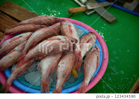 Jagalchi Fish Market the largest seafood market in Busan South Korea Jagalchi Fish Market the largest seafood market in Busan South Korea 123434590