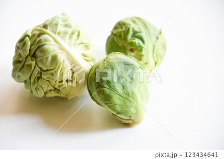 芽キャベツ 123434641