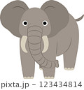 頼もしいゾウのイラスト 123434814