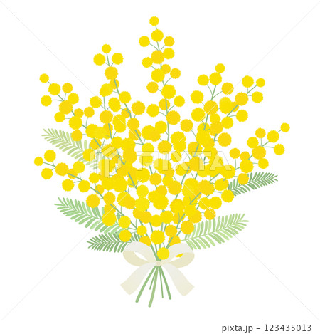 ミモザの花束_ベクターイラスト 123435013