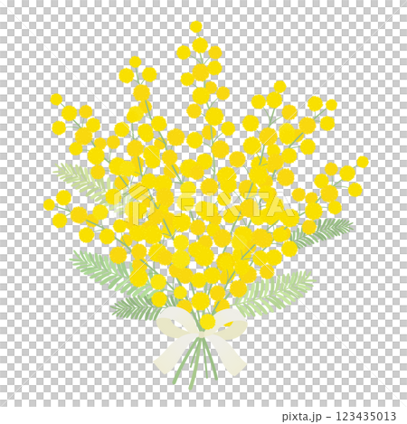 ミモザの花束_ベクターイラスト 123435013