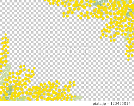 ミモザのフレーム_ベクターイラスト 123435014
