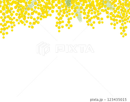 ミモザのフレーム_ベクターイラスト 123435015