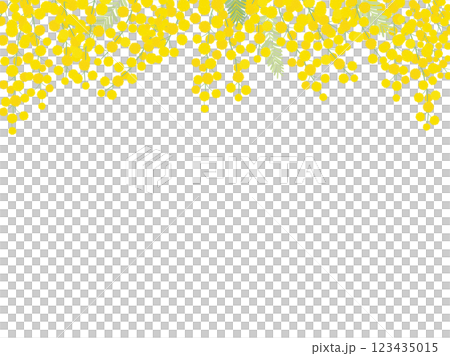 ミモザのフレーム_ベクターイラスト 123435015
