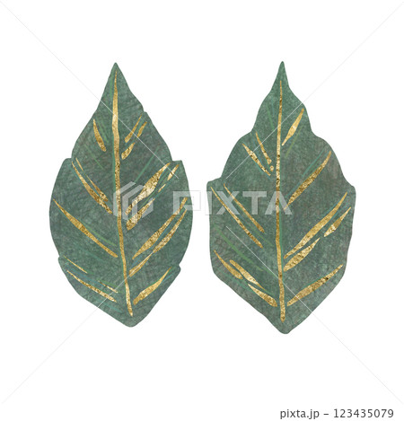 Floral green leaf with gold, unique digital hand drawn illustration isolated on white background. 123435079