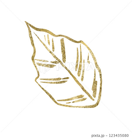 Golden floral leaf, graphic digital handmade illustration isolated on white background. Golden floral leaf, graphic digital handmade illustration isolated on white background. 123435080