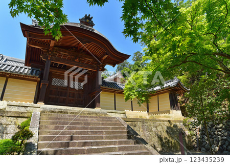 新緑に包まれた勅使門　光明寺 123435239