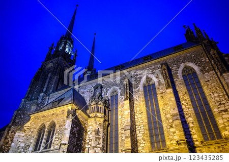 Cathedral of Saints Peter and Paul, Roman Catholic cathedral on the Petrov hill in Brno, Czech Republic 123435285