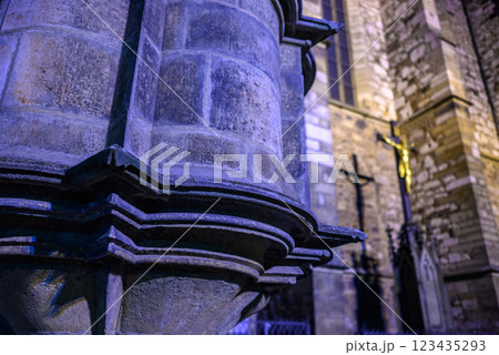 Cathedral of Saints Peter and Paul, Roman Catholic cathedral on the Petrov hill in Brno, Czech Republic 123435293