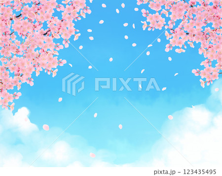 満開の桜の花の背景素材 満開の桜の花の背景素材 123435495