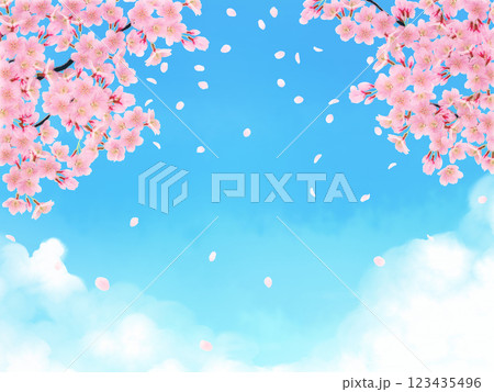満開の桜の花の背景素材 満開の桜の花の背景素材 123435496