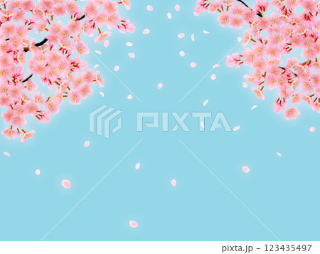 満開の桜の花の背景素材 123435497