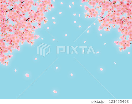 満開の桜の花の背景素材 123435498