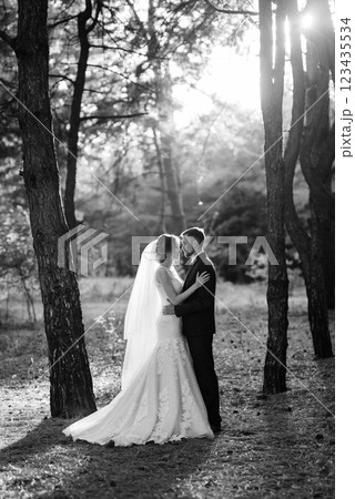 walk of the bride and groom through the autumn forest 123435534