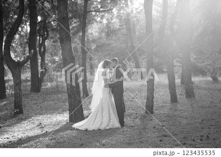 walk of the bride and groom through the autumn forest walk of the bride and groom through the autumn forest 123435535