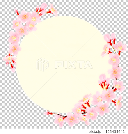 Somei Yoshino cherry blossom frame material Somei Yoshino cherry blossom frame material 123435641