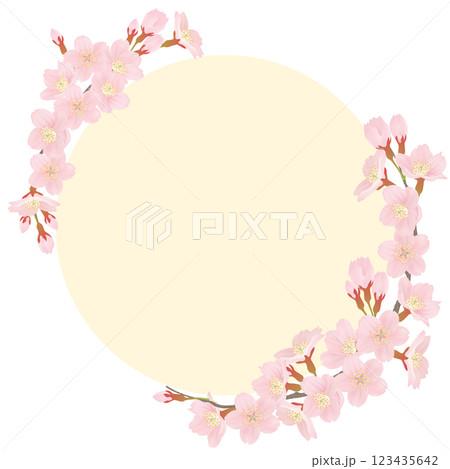 ソメイヨシノ　桜　花　フレーム素材 123435642