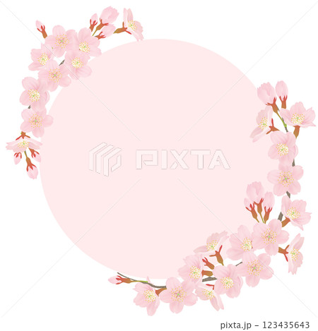ソメイヨシノ　桜　花　フレーム素材 123435643