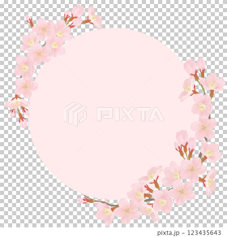 Somei Yoshino cherry blossom frame material Somei Yoshino cherry blossom frame material 123435643