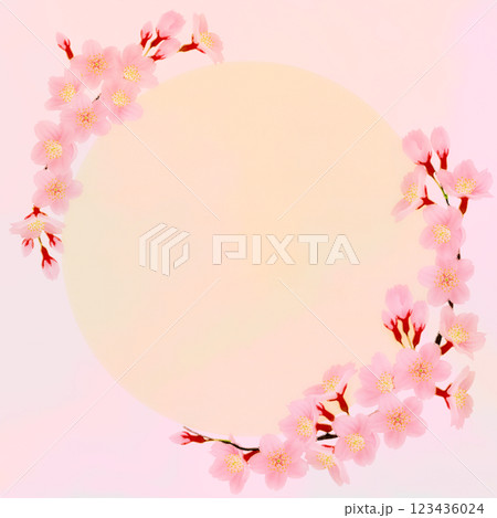ソメイヨシノ 桜 花 フレーム素材 ソメイヨシノ 桜 花 フレーム素材 123436024