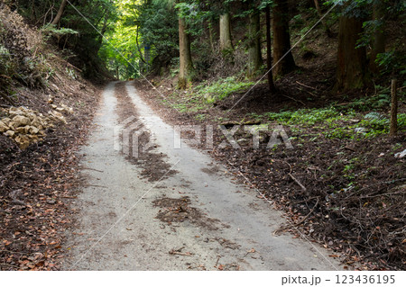 【六地蔵越】狭隘な県道の県境 【六地蔵越】狭隘な県道の県境 123436195