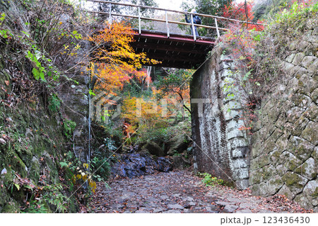 愛岐トンネル群の紅葉 愛岐トンネル群の紅葉 123436430