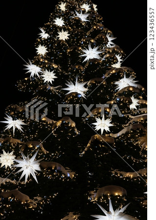 The Sparkling Holiday Decorations Adorning a Beautifully Decorated Christmas Tree 123436557