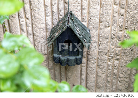 A Charming Wooden Birdhouse beautifully placed against a Textured Wall in your backyard A Charming Wooden Birdhouse beautifully placed against a Textured Wall in your backyard 123436916