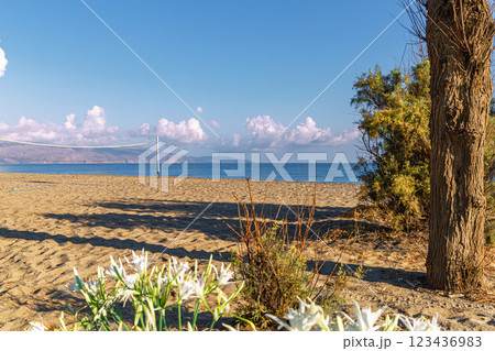Sea shore. Beautiful empty beach in summer sunny day on Crete island in Greece. Sea shore. Beautiful empty beach in summer sunny day on Crete island in Greece. 123436983
